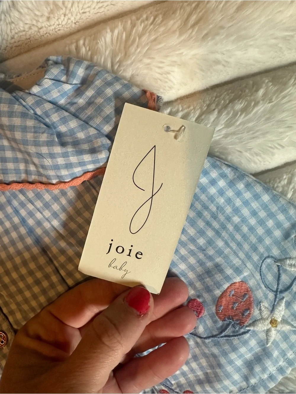 Joie Blue Gingham Girls Matching Set with Coral Embroidery